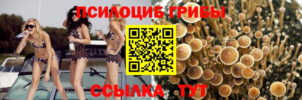 Галлюциногенные грибы ЛСД  Вход с VPN  Кубинка 